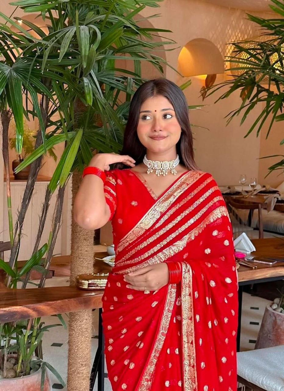 Fancy Saree